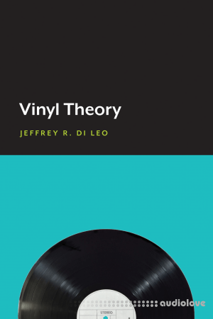 Vinyl Theory