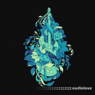 Beastsamples Psychedelic Guitar Pack
