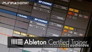 Punkademic Ableton Certified Training: Ableton Live 11 (Part 1, 2, & 3)