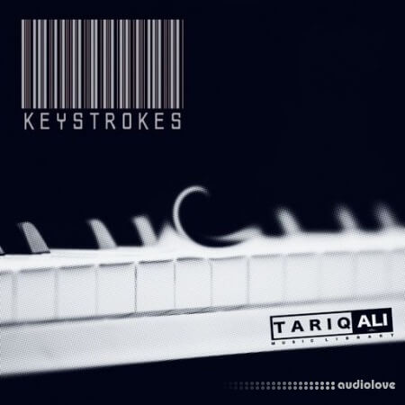 Tariq Ali Keystrokes