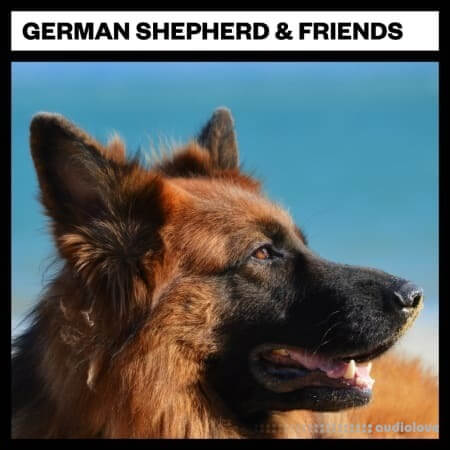 Big Room Sound German Shepard and Friends