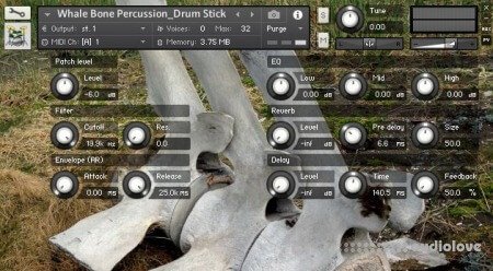 Glitchedtones x Hidden Sound Whale Bone Percussion