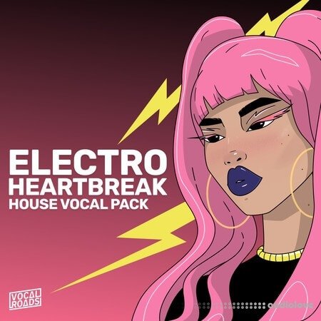 Vocal Roads Electro Heartbreak: House Vocal Pack