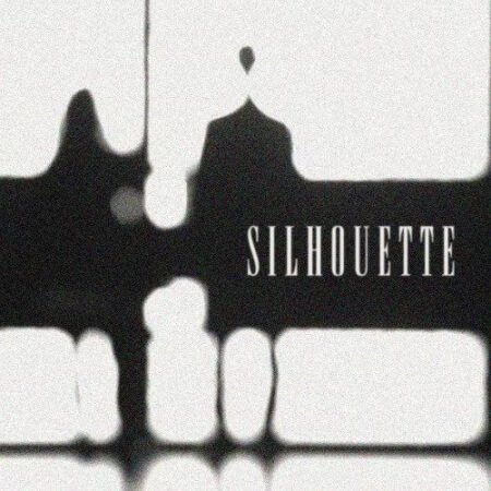 Beatsbycarpp Silhouette