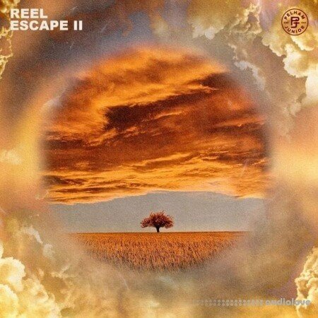 Pelham and Junior Reel Escape 2
