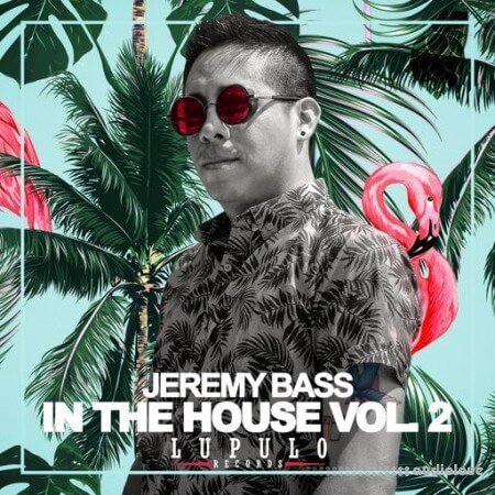 Dirty Music Jeremy Bass - In The House Vol. 2