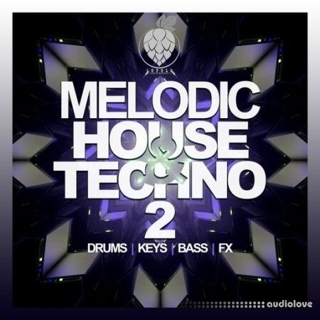 Dirty Music Melodic House & Techno Vol. 2