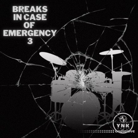 YnK Audio Breaks In Case of Emergency 3