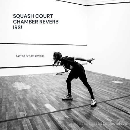 PastToFutureReverbs Squash Court Chamber