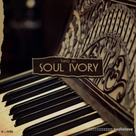 Tariq Ali Soul Ivory