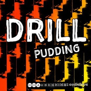 Audentity Records Drill Pudding