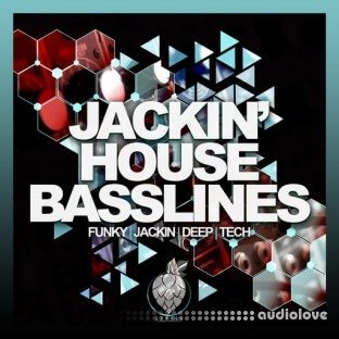 Dirty Music Jackin House Basslines