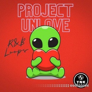 YnK Audio Project unLove: R&B Loops