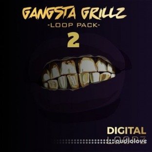 Big Citi Loops Gangsta Grillz 2 Kit Version