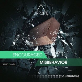 Irrupt Encourage Misbehavior