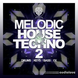 Dirty Music Melodic House & Techno Vol. 2