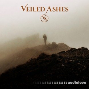 Observant Sound Veiled Ashes