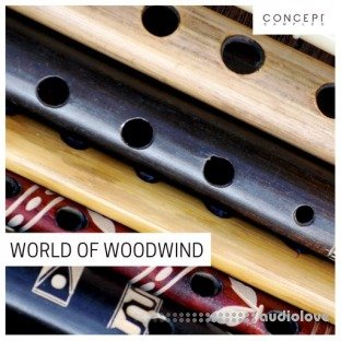 Concept Samples World Of Woodwind