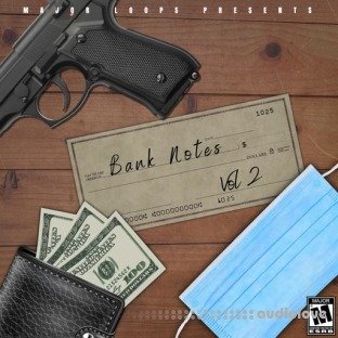 Dynasty Loops Bank Notes 2