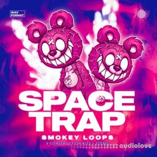 Smokey Loops Space Trap