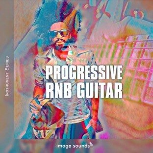 Steinberg Image Sounds Progressive RnB Guitar 1