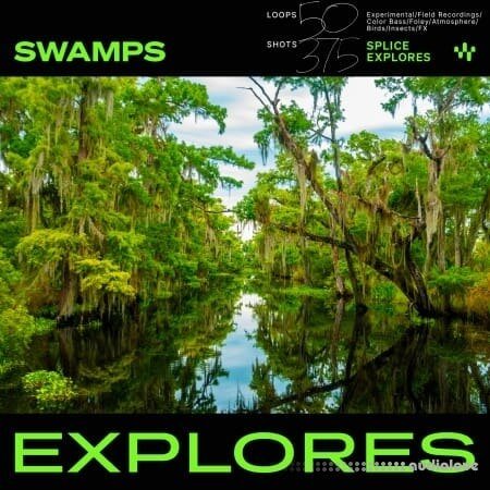 Splice Explores Swamps