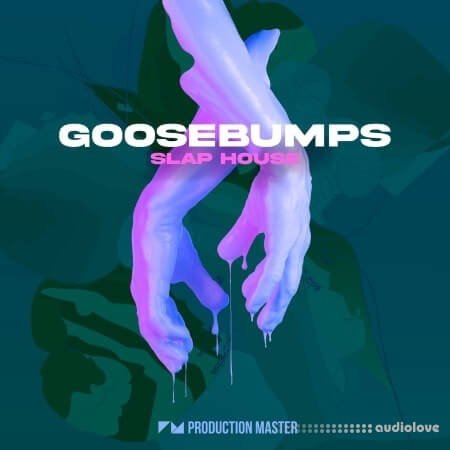 Production Master Goosebumps Slap House