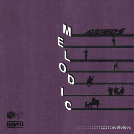 AYN Sounds Melodic Sounds Multi-Kit