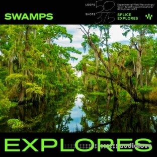 Splice Explores Swamps