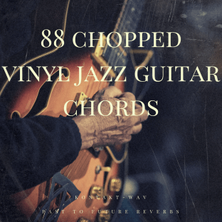 PastToFutureReverbs 88 Chopped Vinyl Jazz Guitar Chords