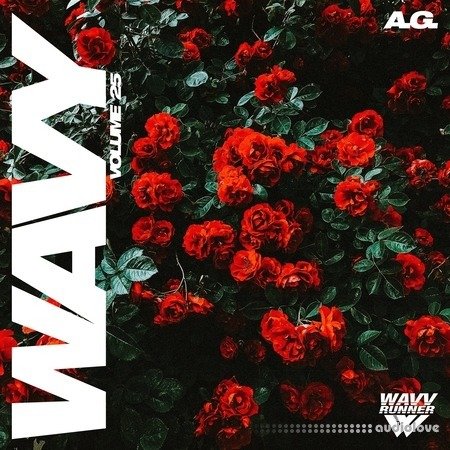 A.G. Wavy Volume 25