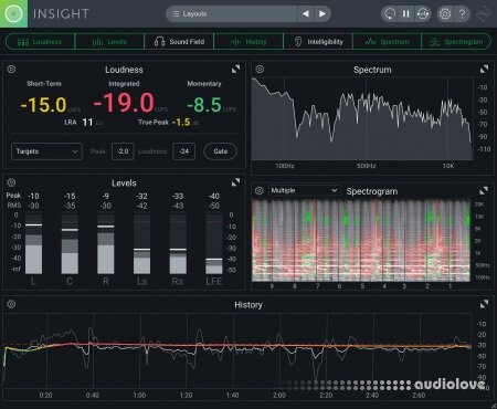 iZotope Insight 2