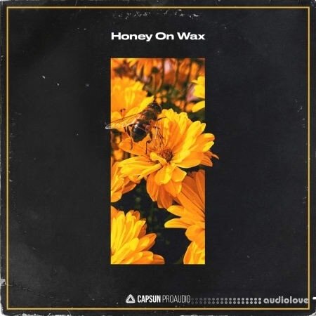 Capsun ProAudio Honey On Wax