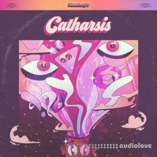 Discotheque Catharsis