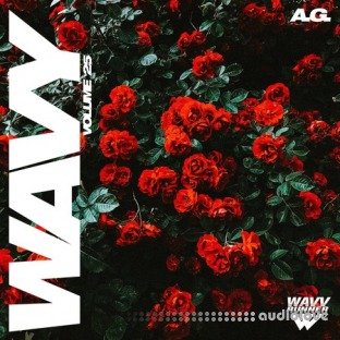 A.G. Wavy Volume 25