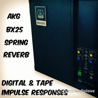 PastToFutureReverbs AKG BX-25 Spring Reverb