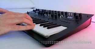 Push-Pull Minilogue XD The Ambient Collection