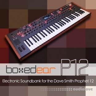 Boxed Ear P12 Prophet 12 Bank