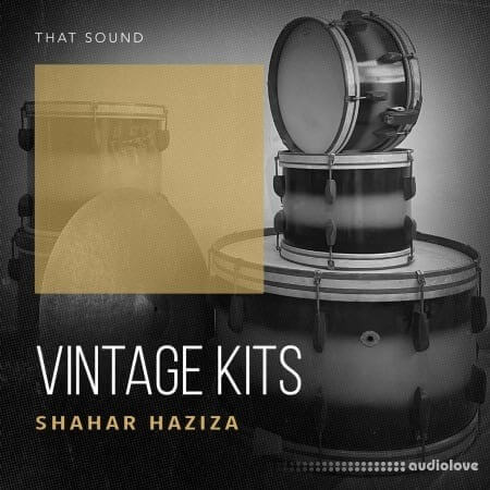 That Sound Vintage Kits