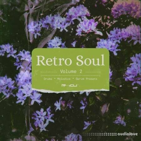 Renraku Retro Soul 2