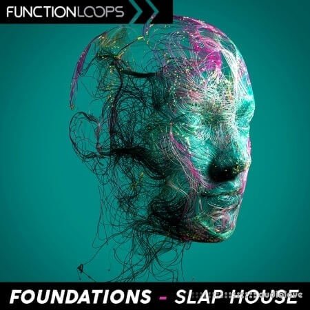 Function Loops Foundations Slap House