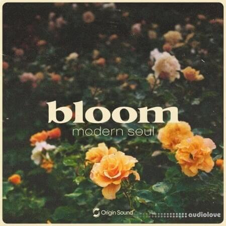 Origin Sound bloom modern soul