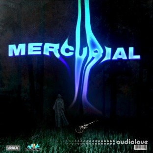 dreamr Mercurial Guitar Loop Kit