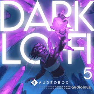 AudeoBox Dark Lo-Fi 5