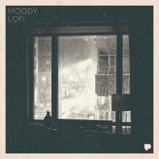 Poldoore Moody LoFi Sample Pack