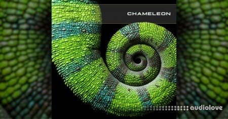 SoundsDevine Chameleon