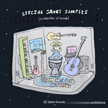 Splice Sounds Special Sauce Samples from Molly McPhaul