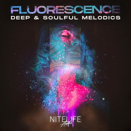 NITELIFE Audio Fluorescence: Deep and Soulful Melodics