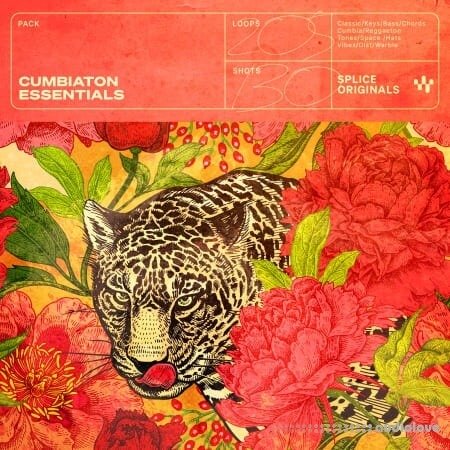 Splice Originals Cumbiaton Essentials