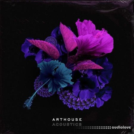 Arthouse Acoustics GloFi: RnB and Hip Hop